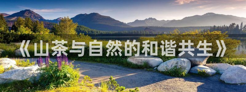 安信12