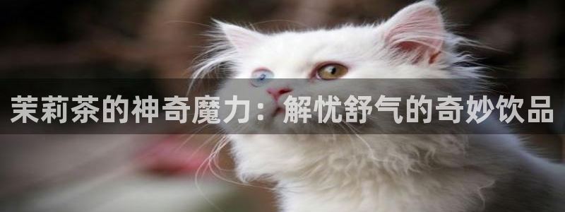 安信12周年庆典