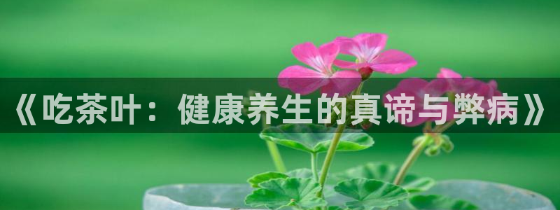 安信12是正规还是仿