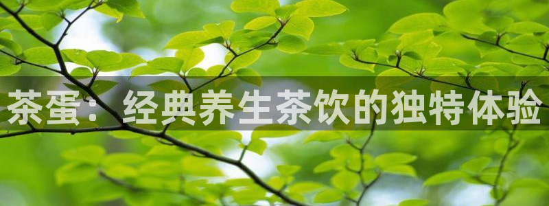 安信12负责人