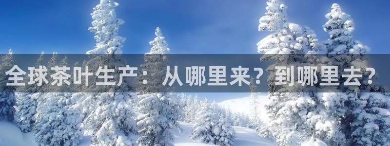 安信12注册咋7O777