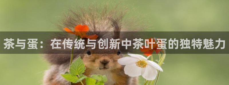 安信12主管