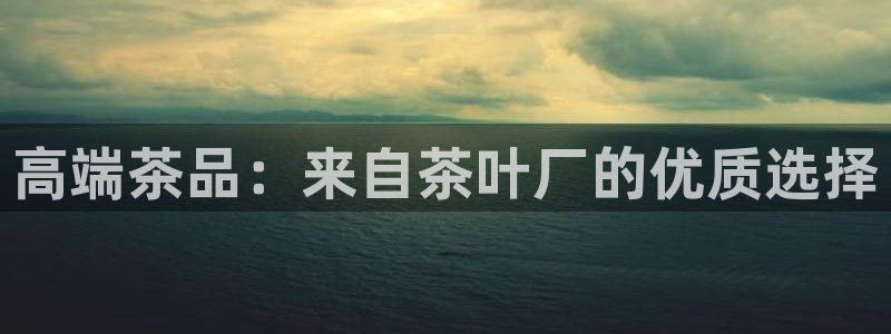 安信12是正规平台吗