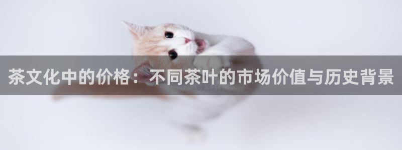 安信12是正规平台吗