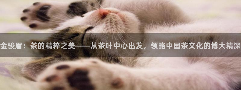 安信可 esp-12