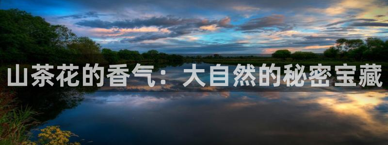 安信12官网