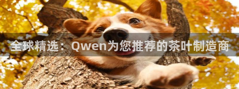 安信12平台介绍