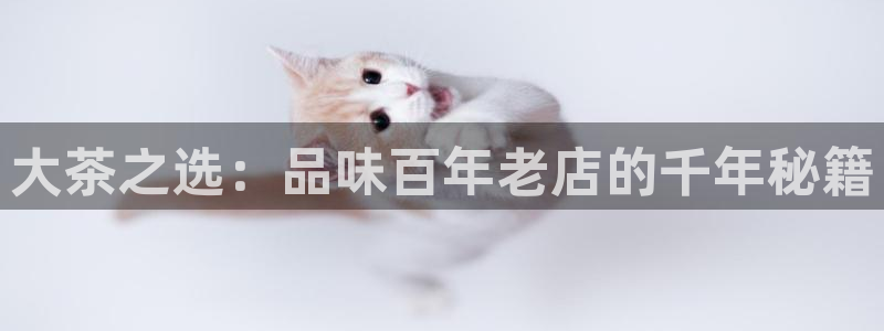 安信12娱乐登录