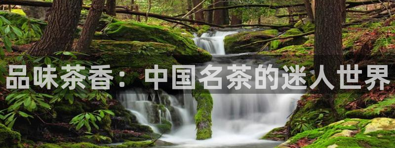 安信安盈12最新消息