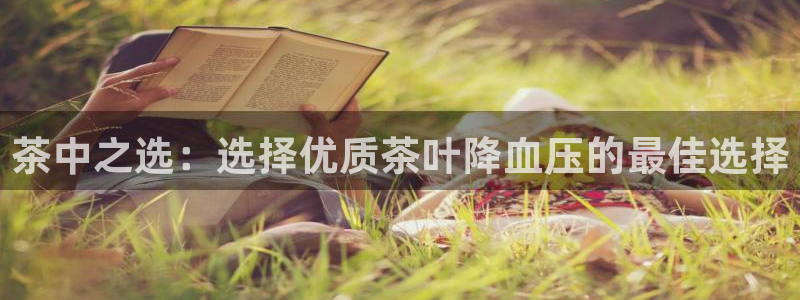 安信12是什么平台