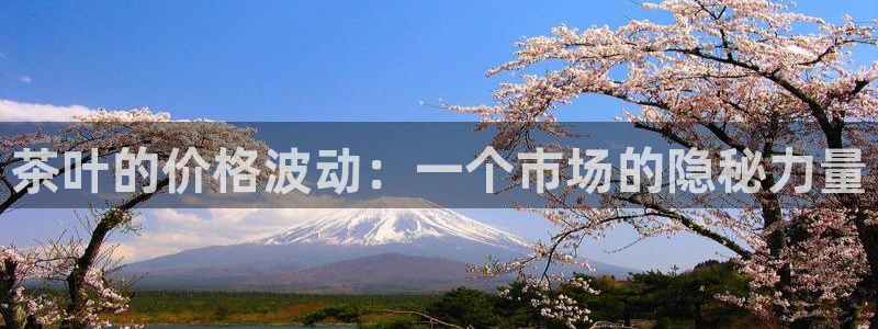 安信12娱乐登录网页