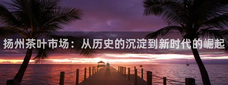 安信12是做什么