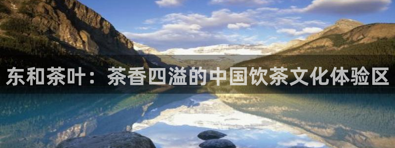 安信12是做什么