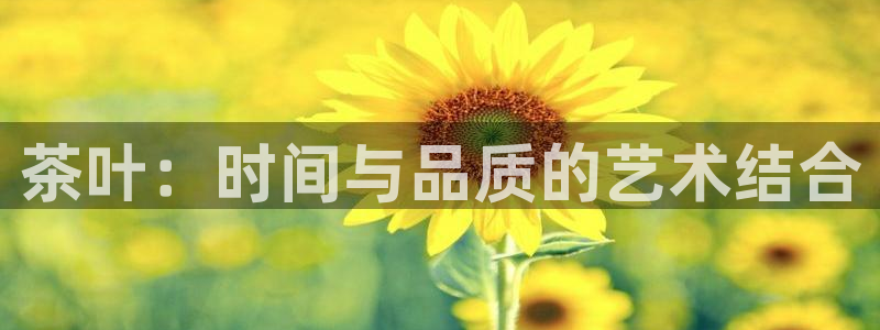 安信12平台介绍