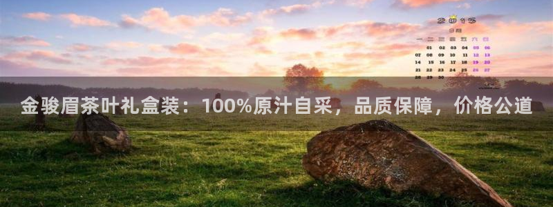 安信12娱乐登录