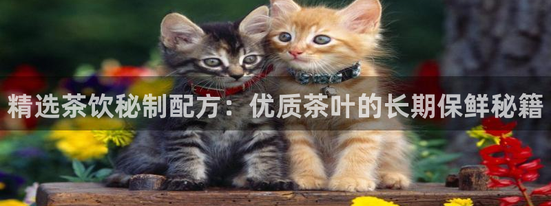 安信12注册登录下戴