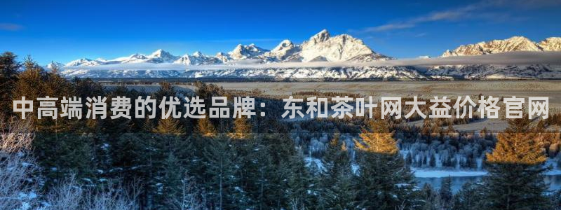 安信12级粉丝团福利