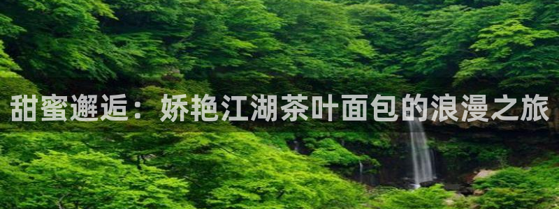 安信安翼 12账号