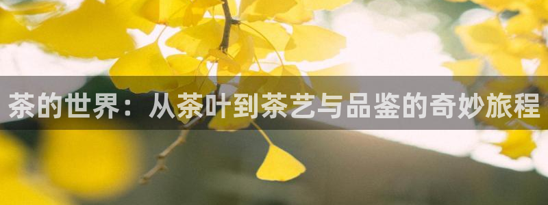 如何注销安信12软件