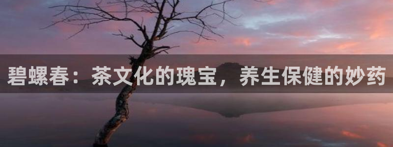 安信12是正规平台吗