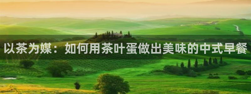 安信12官方网站查询