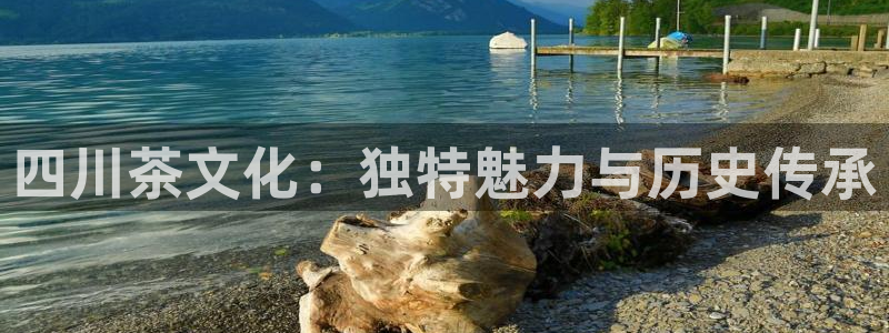 安信12是正规还是仿